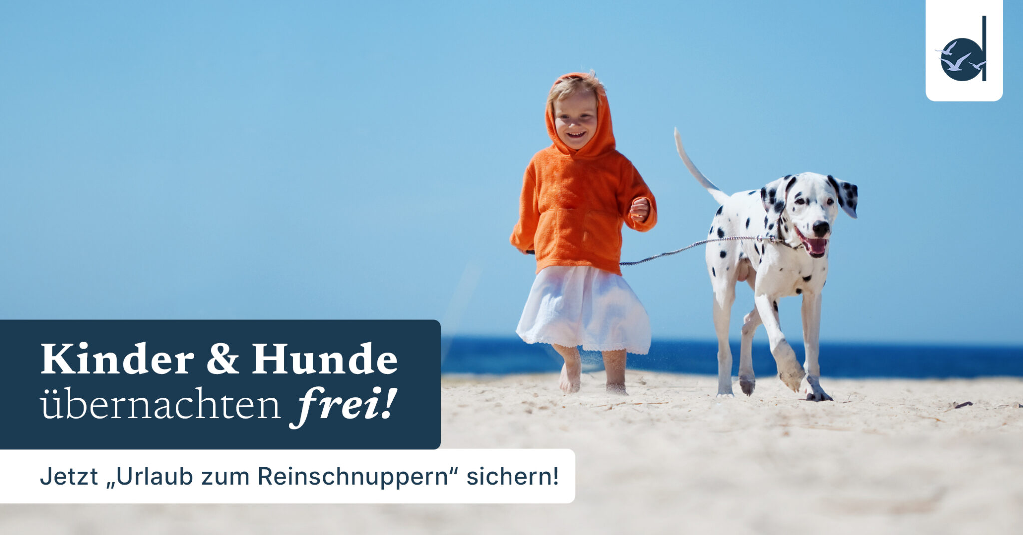 Dateiname "beach-kid-dalmatian.jpg": Kind in orangefarbenem Kapuzenpulli geht mit Dalmatiner am Strand spazieren, Promo.