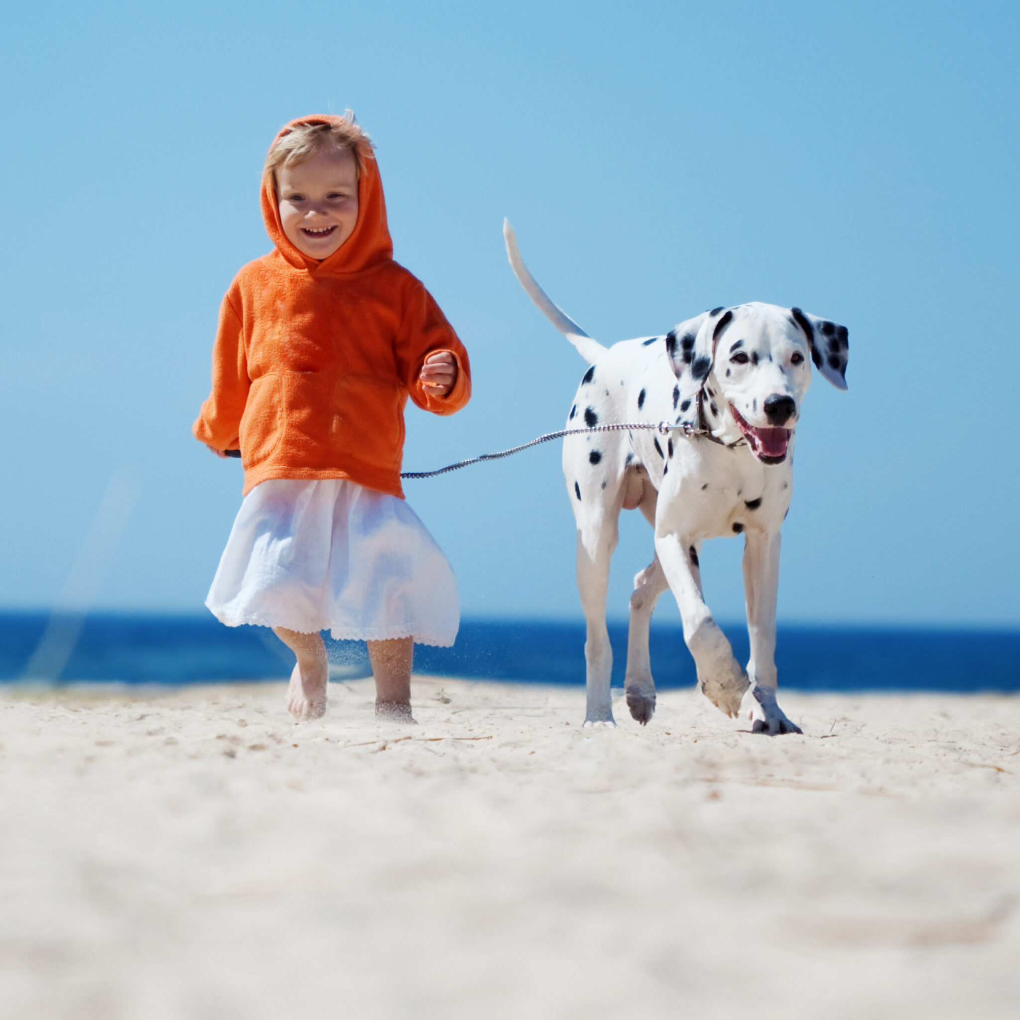 Kind-dalmatiner-strand.jpg: Kind geht mit Dalmatiner am Sandstrand spazieren.