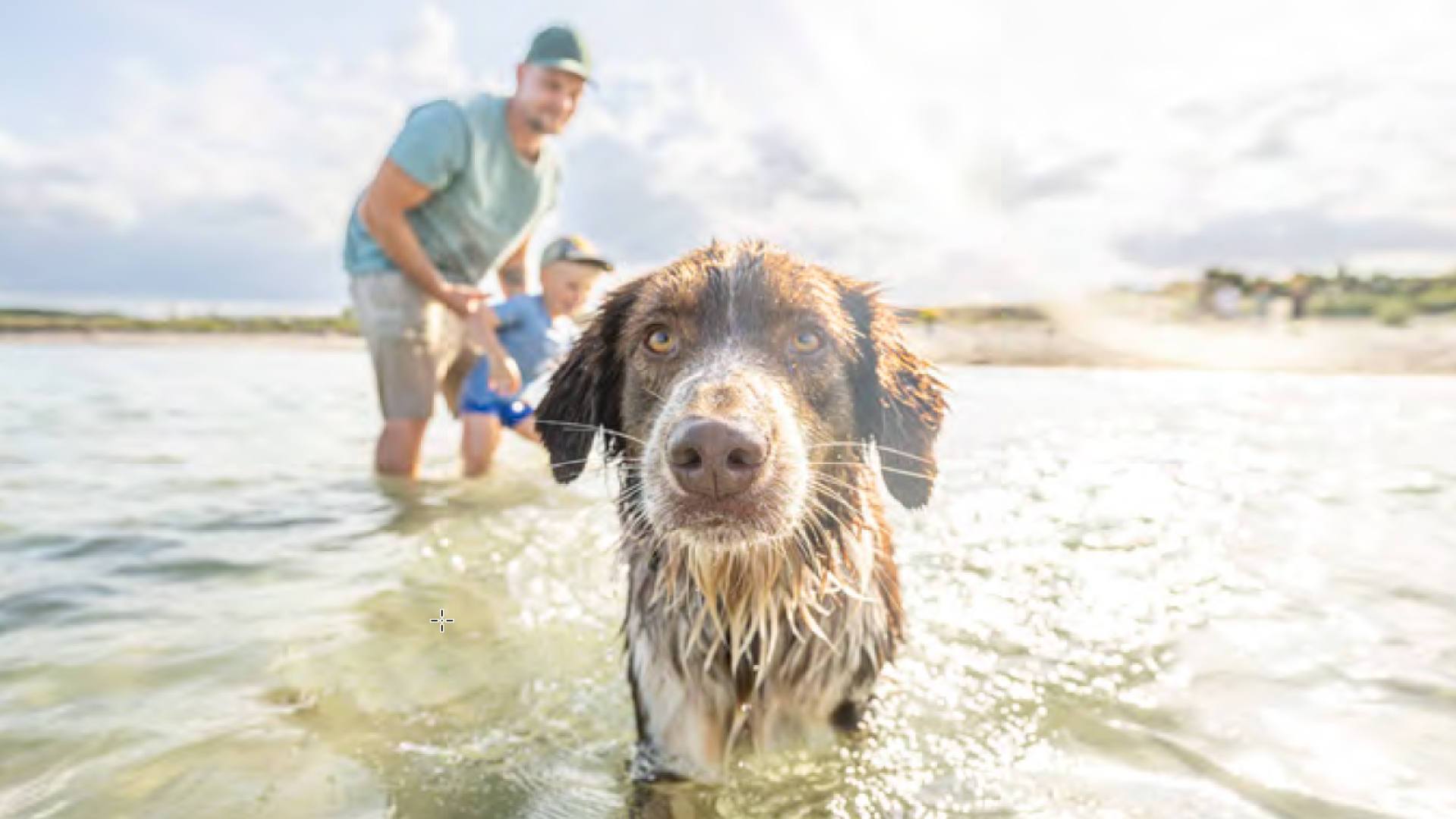 Ostsee_resort_damp.jpg: Nasser Hund im Wasser, Familie genießt den sonnigen Tag in der Nähe.
