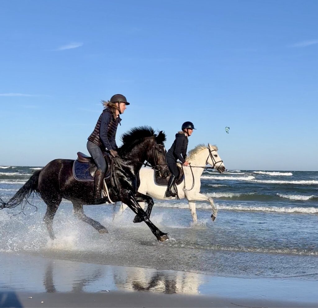 Shoreline_ride.jpg: Zwei behelmte Reiter auf schwarzen, weißen Pferden rasen am Meer entlang.