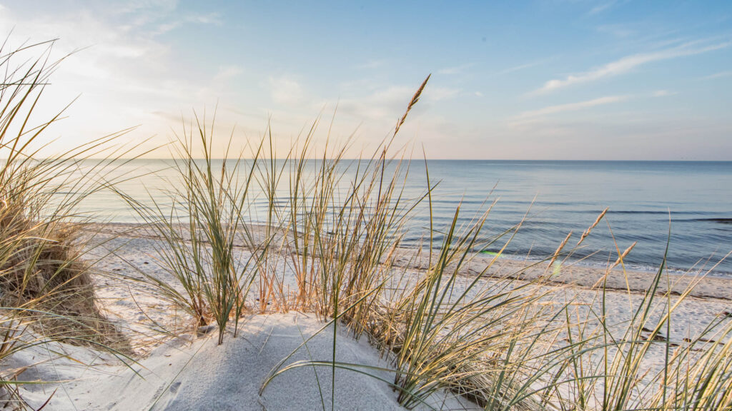 Weißer Ostseestrand mit strahlend blauem Wasser und blauem Himmel im Frühling.
