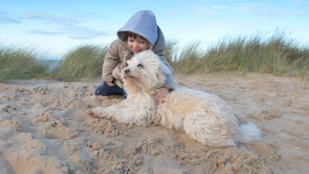 Auf child_and_dog_sand.jpg umarmt ein Kind einen weißen Hund im Sand.