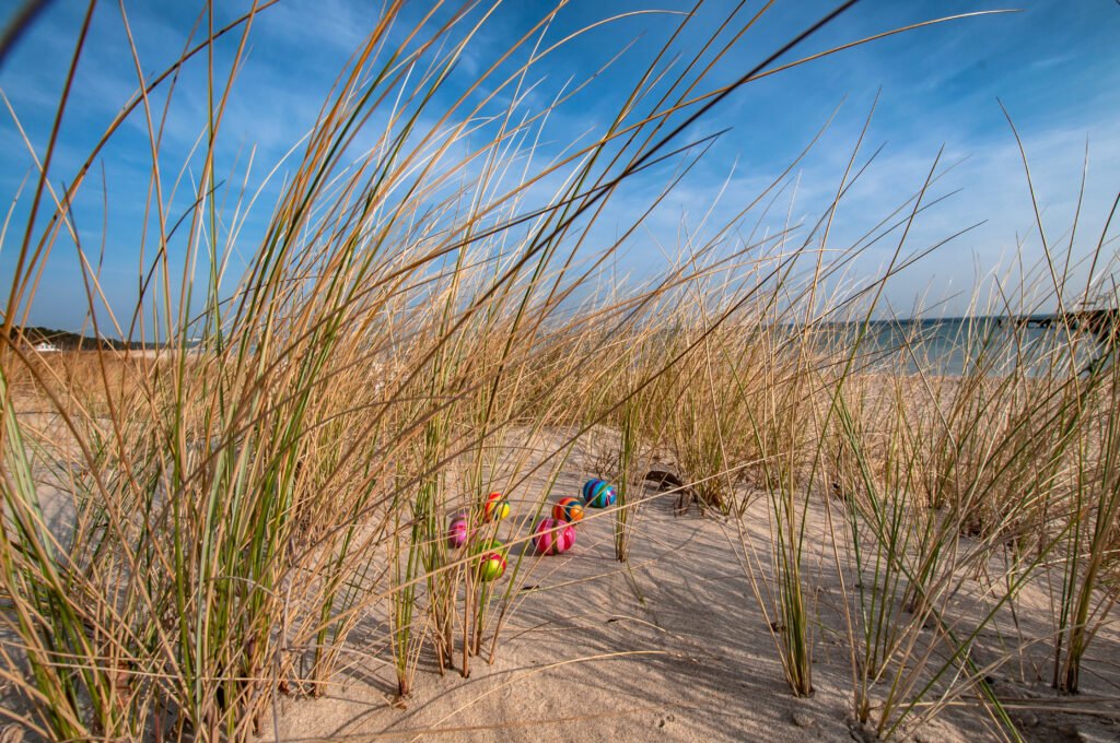Beach-eggs.jpg: Bunte Ostereier im Strandgras, dahinter das Meer.
