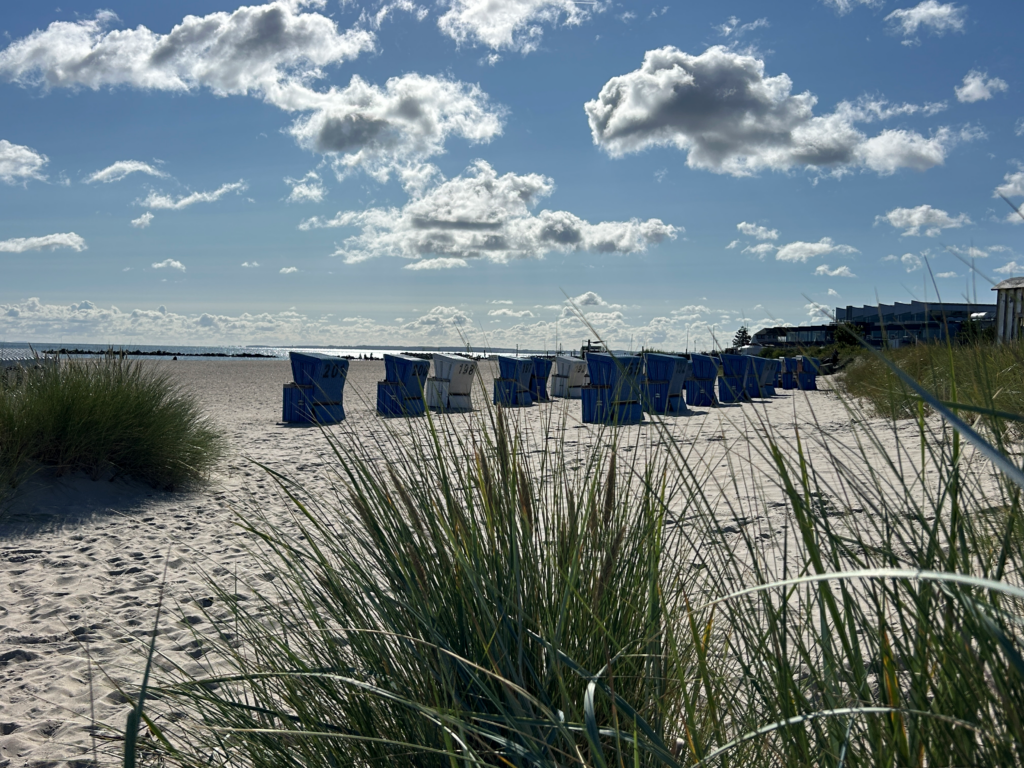 Frühling am Meer