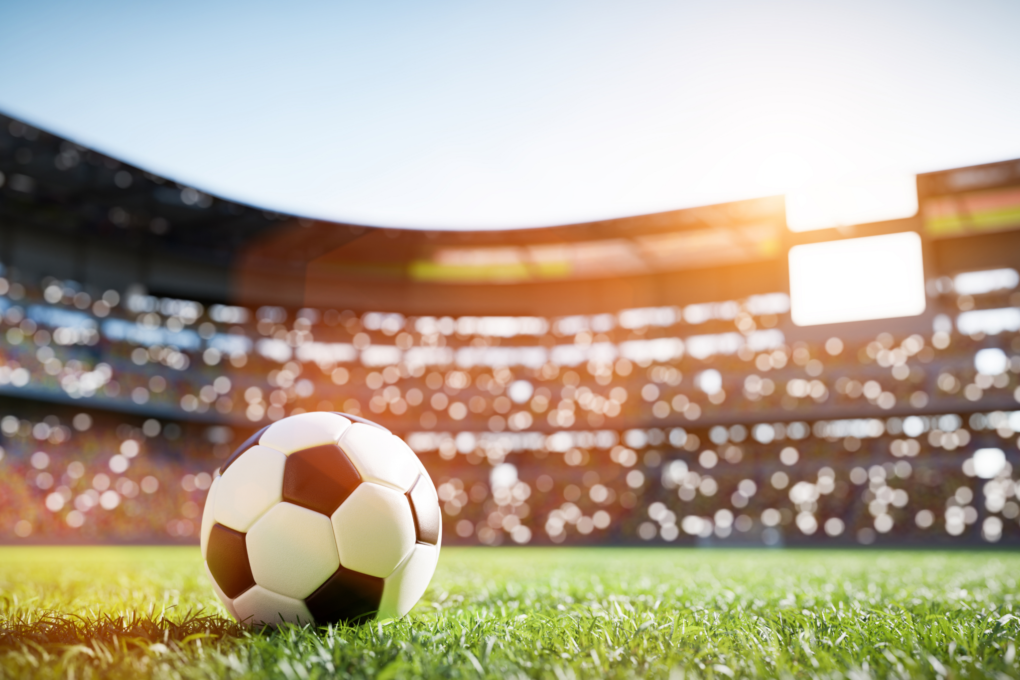 Soccer_wm_liveuebertragung.jpg: Fußball auf Rasen, Stadionbeleuchtung, WM-Aufregung.