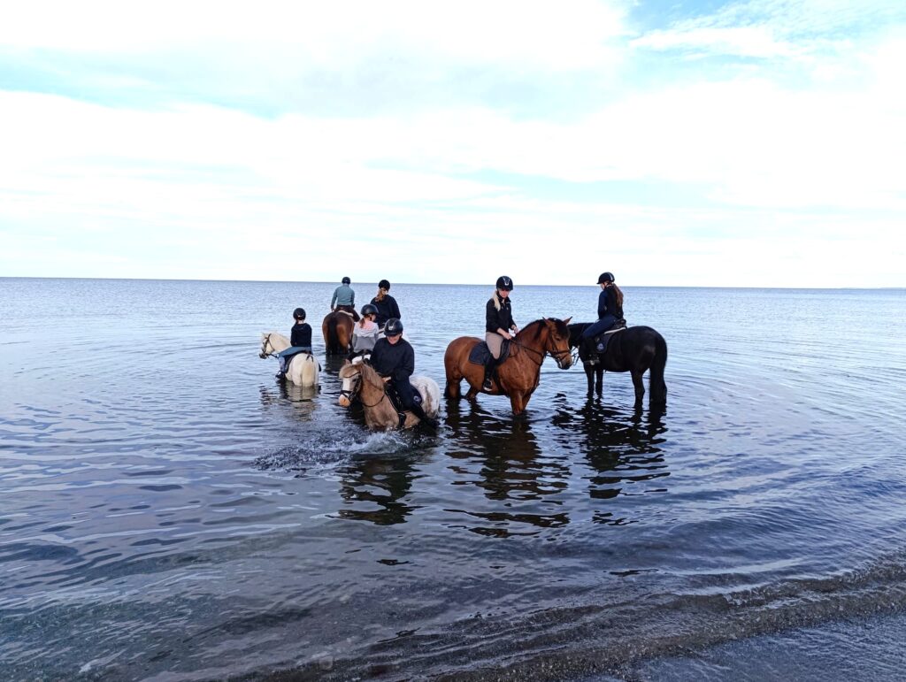 Riders-in-shallow-water-ostsee.jpg: Reiter vor dem Horizont am Meer, Ostsee-Resort Damp.