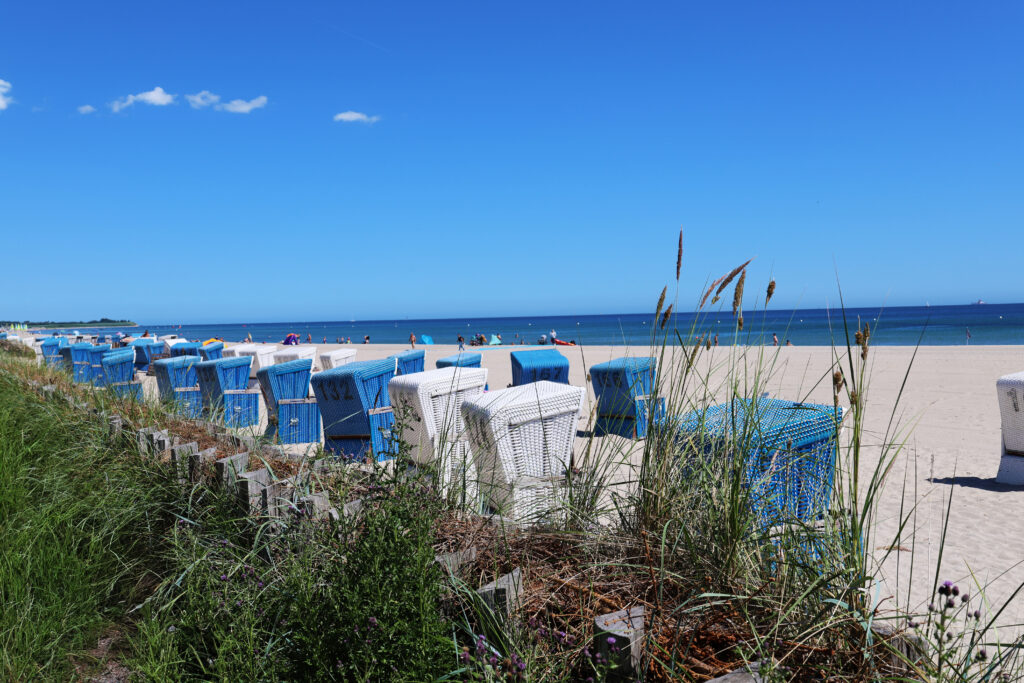 Beach_scene.jpg: Blå og hvide stole på en sandstrand; mennesker og planter i det fjerne.