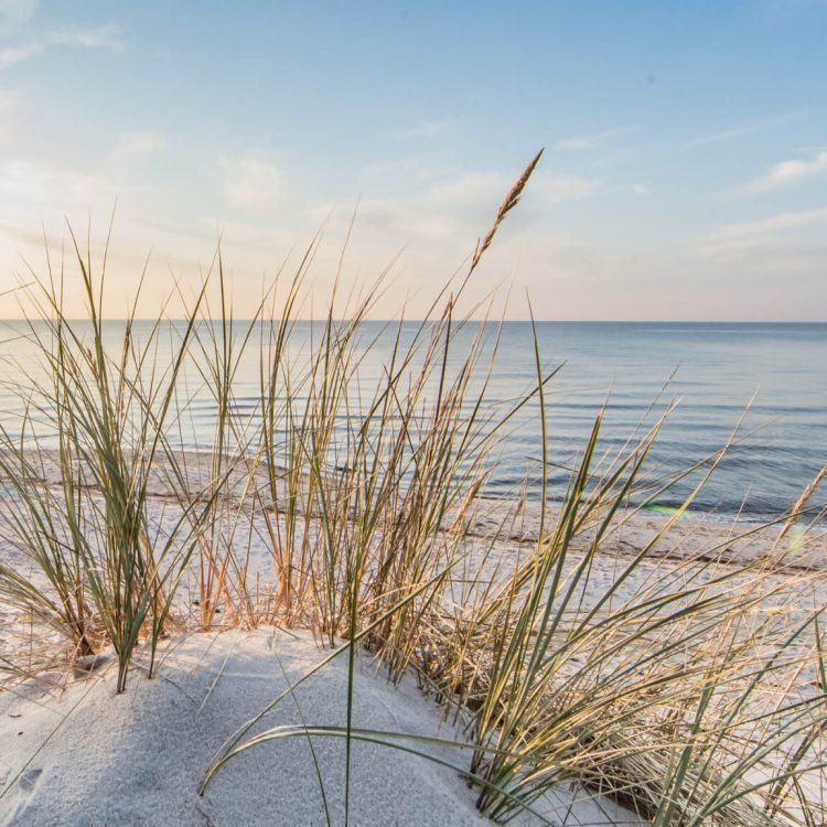 Weißer Ostseestrand mit strahlend blauem Wasser und blauem Himmel im Frühling.