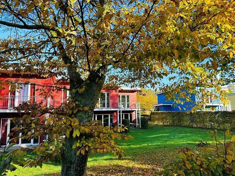 Herbstbaum vor den farbenfrohen Ferienhäusern des Ostsee Resorts Damp.