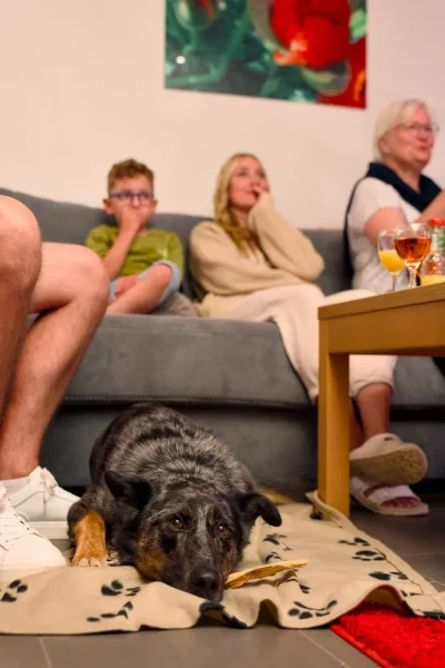 Hund auf einer Decke, Familie beim Entspannen – Ostsee Resort Damp: Urlaubsstimmung pur.